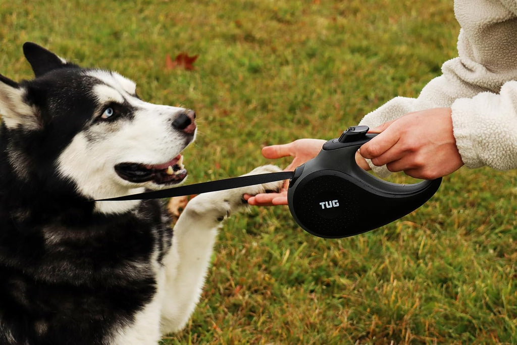 Retractable Dog Leash - 16 ft Nylon Tape with Anti-Slip Handle, One-Handed Brake, Pause, and Lock (Large, Black/Grey)