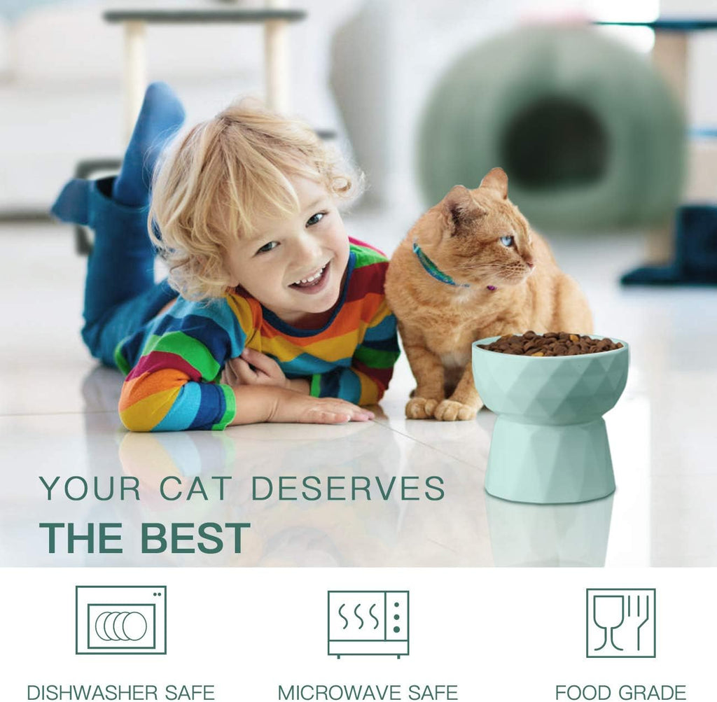 Ceramic Raised Cat and Small Dog Bowls Set for Anti-Vomiting, 13.5 Oz Capacity, Green